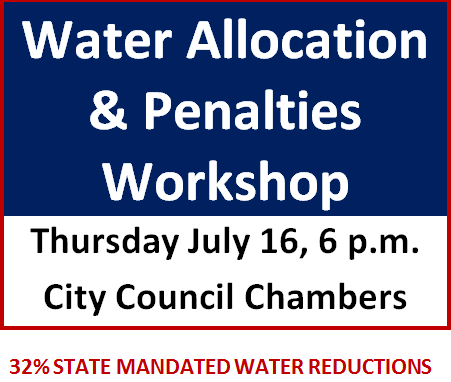 Website Graphic 2.png